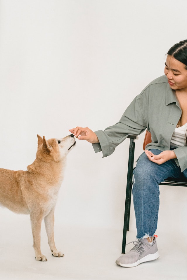 6 Tips For Picking The Right Pet Food