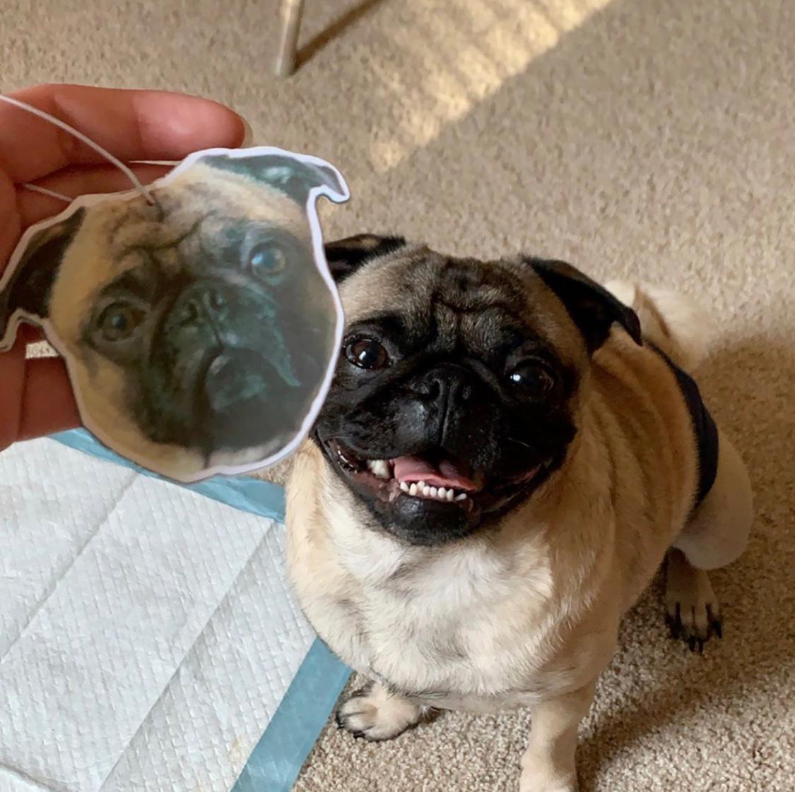 Pawsome Custom Air Freshener