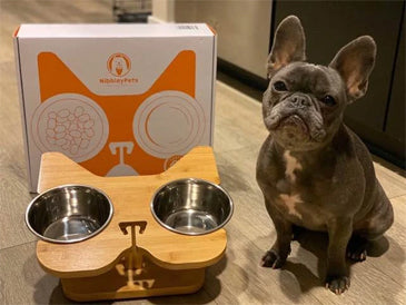 Importance of Grooming