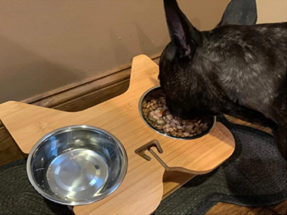 The Ups and Downs of (Pet) Parenthood