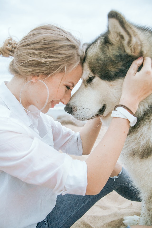 6 Benefits of Owning a Pet 