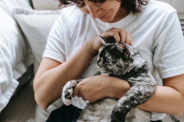 7 Ways to Make Your Cat More Affectionate