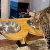NibbleyPets® Elevated Cat Feeder