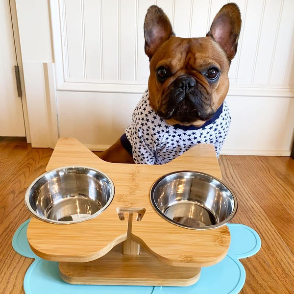 Cute Dog Bowl Set Elevated Dog Food Bowls Raised Pet Feeder Dog