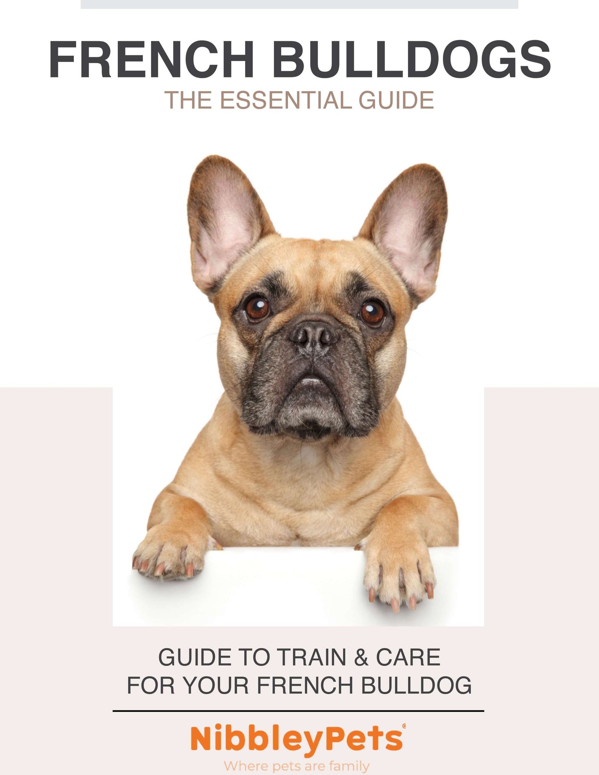 French Bulldogs: The Essential Guide (EBOOK) - NibbleyPets