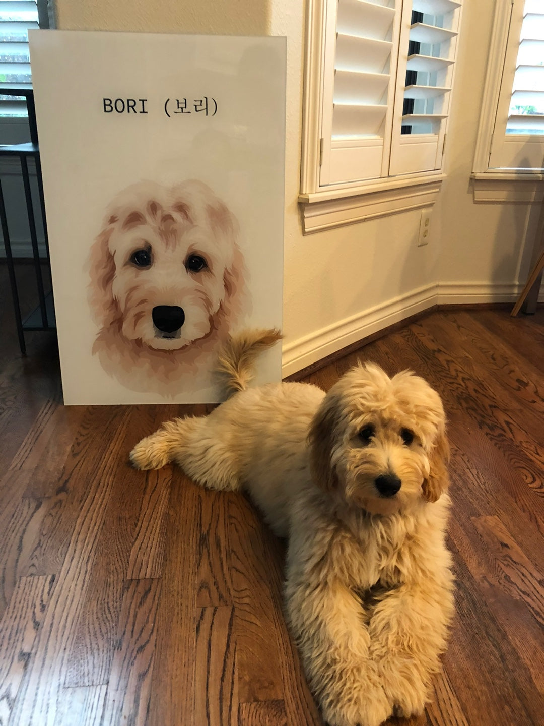 Custom Acrylic Pet Portraits