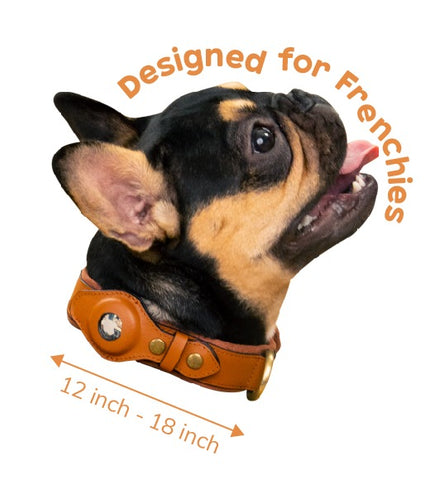 Anti-Theft Dog Collar (Airtag Compatible) NibbleyPets