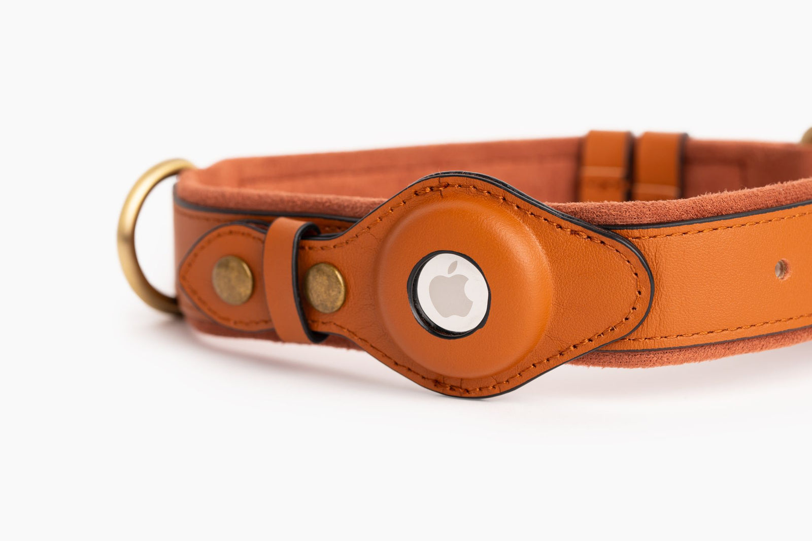 Anti-Theft Dog Collar (Airtag Compatible)